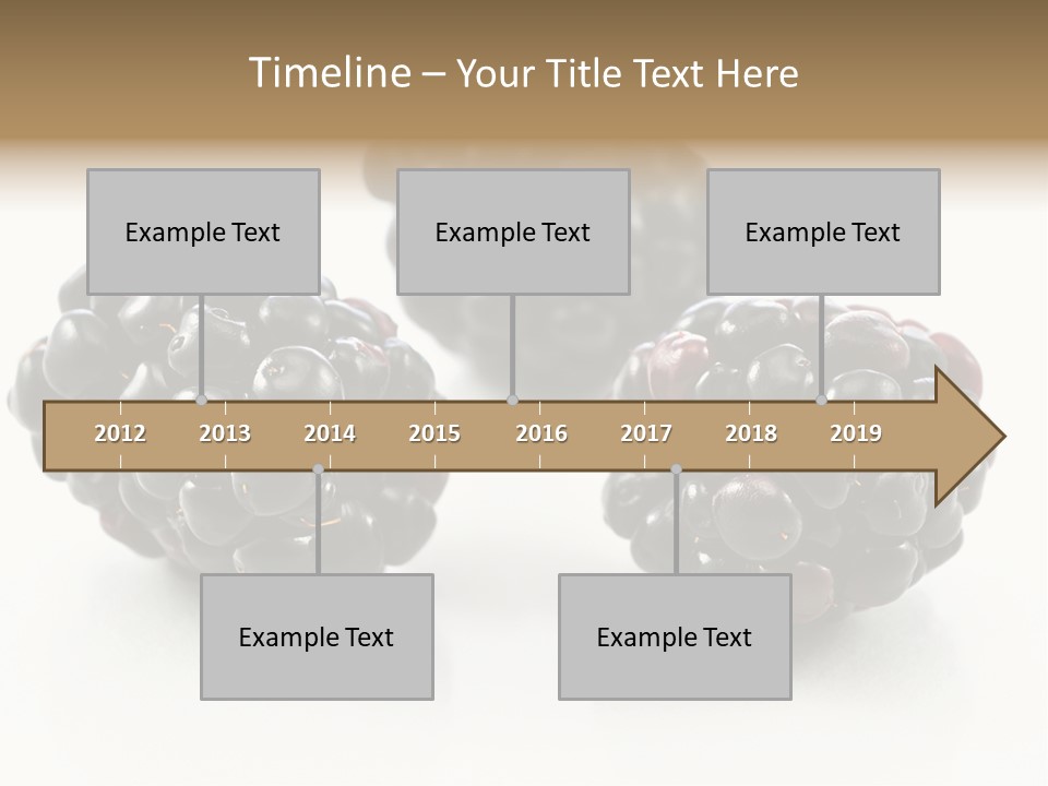 Fruit Berry White PowerPoint Template