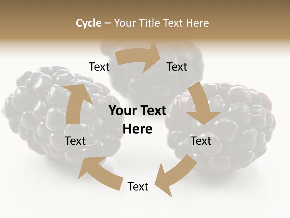 Fruit Berry White PowerPoint Template