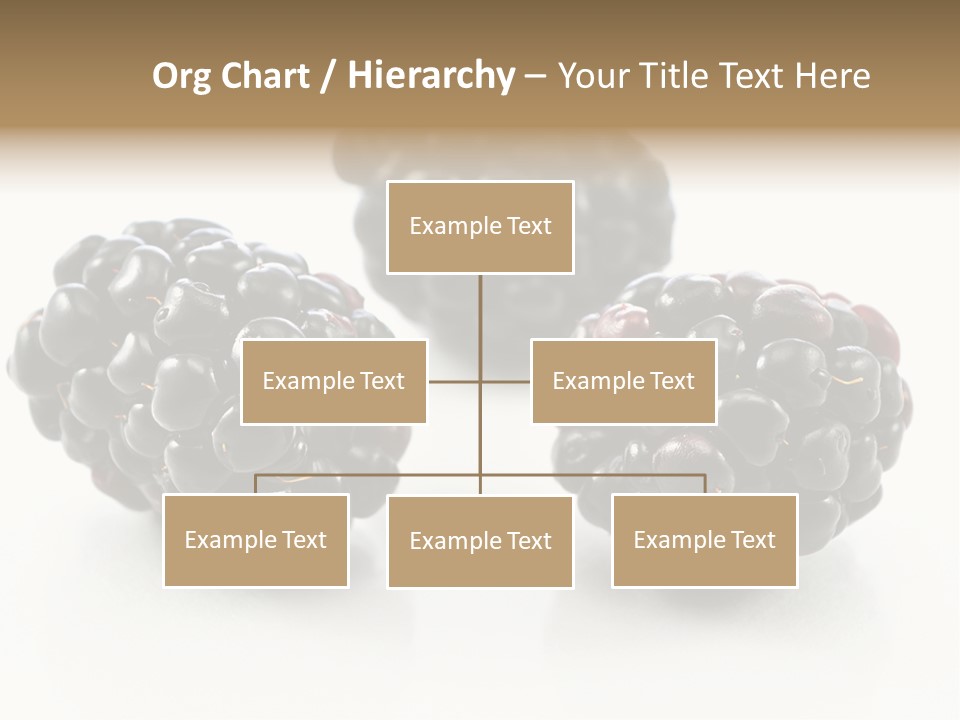 Fruit Berry White PowerPoint Template