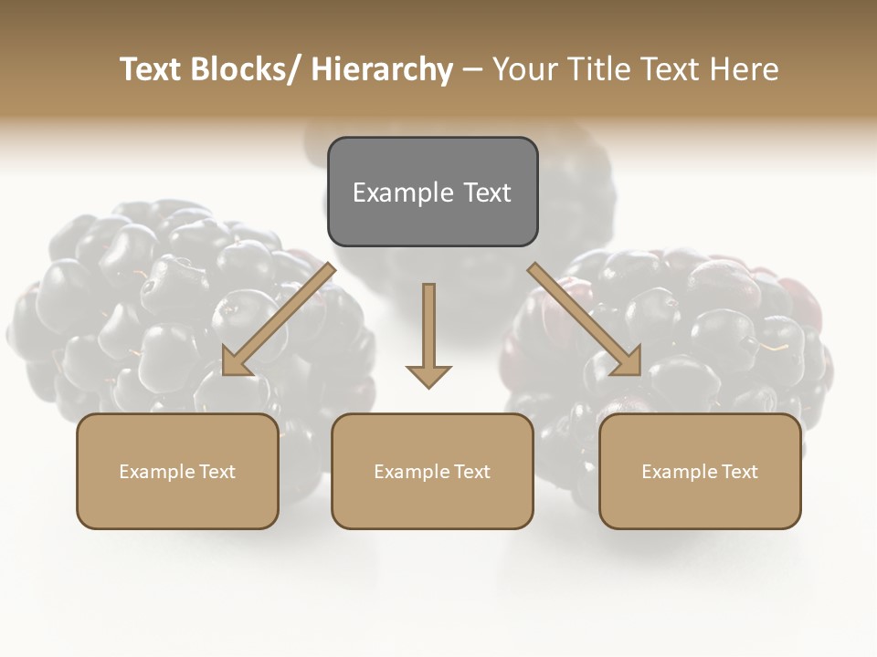 Fruit Berry White PowerPoint Template