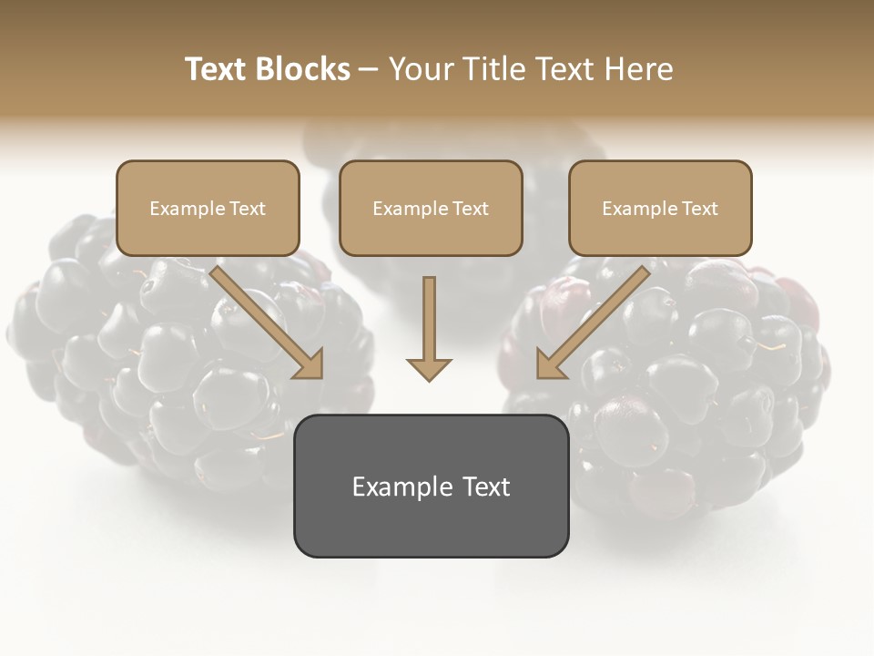 Fruit Berry White PowerPoint Template