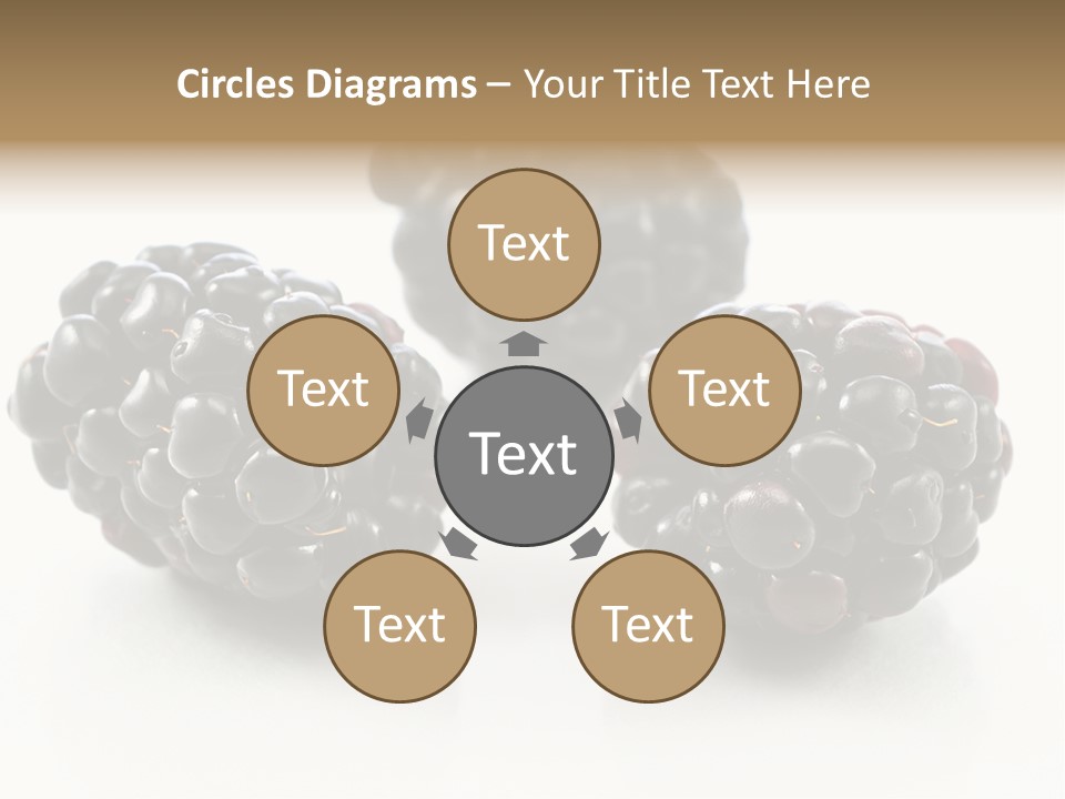 Fruit Berry White PowerPoint Template