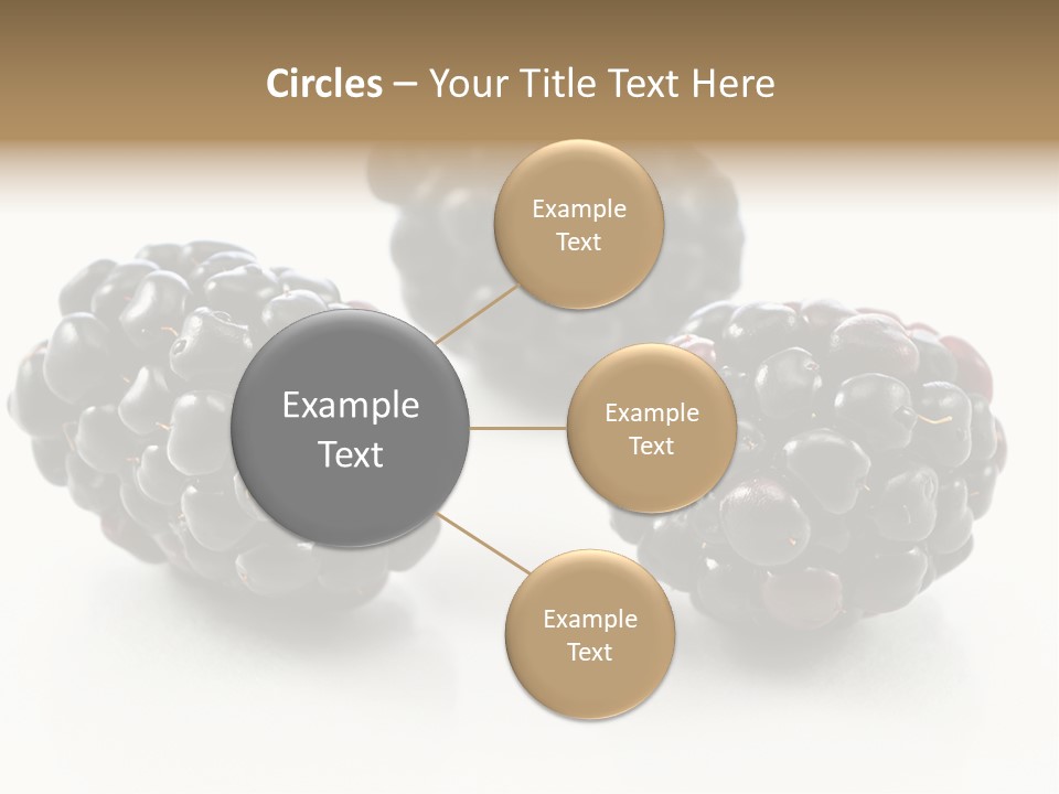Fruit Berry White PowerPoint Template