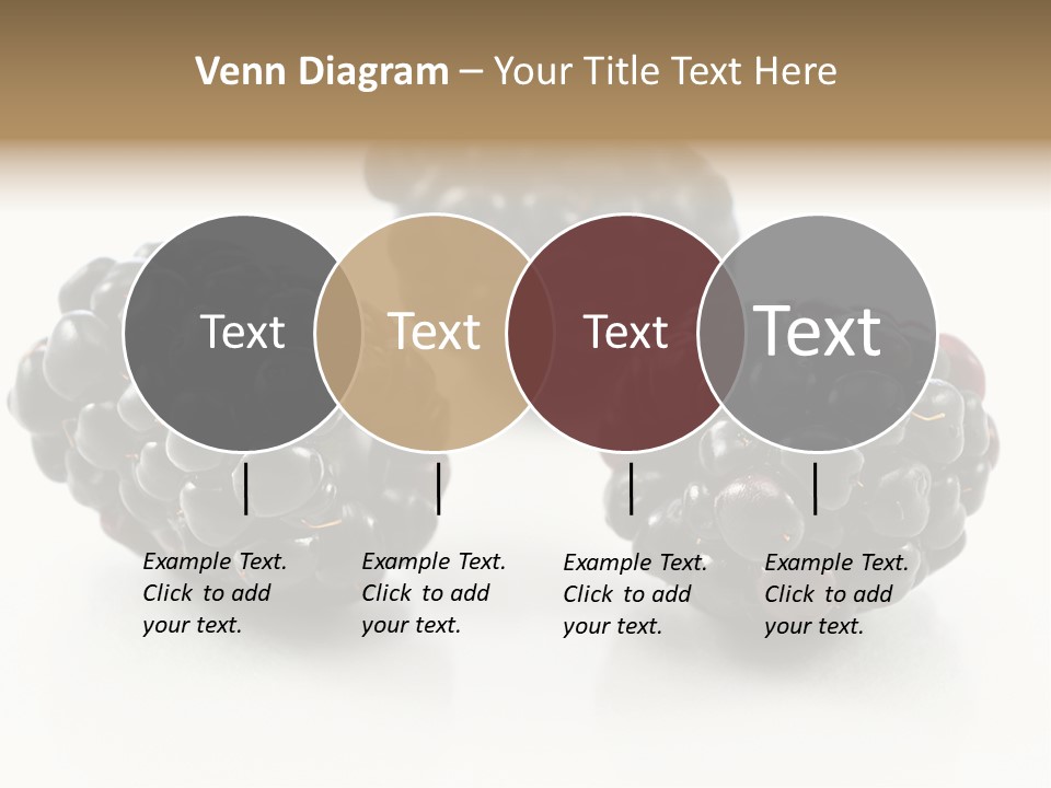 Fruit Berry White PowerPoint Template