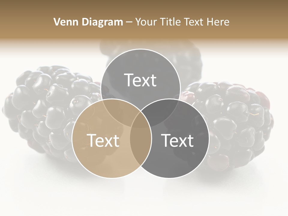 Fruit Berry White PowerPoint Template