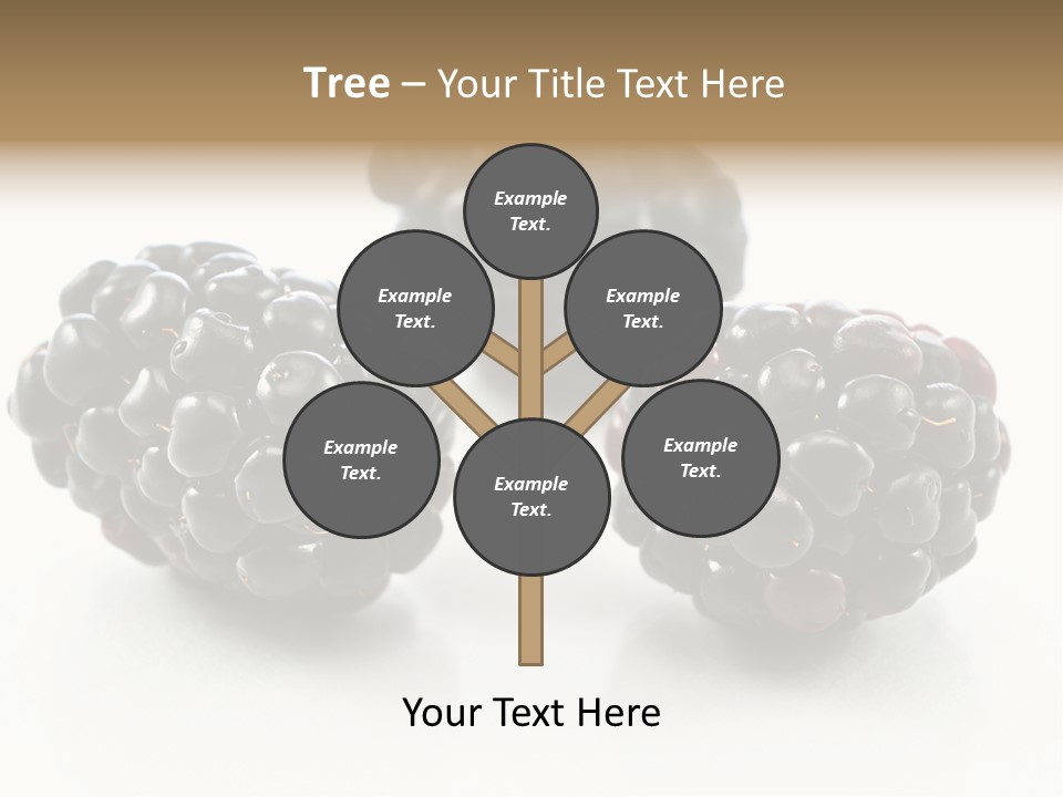 Fruit Berry White PowerPoint Template