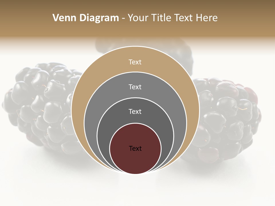 Fruit Berry White PowerPoint Template