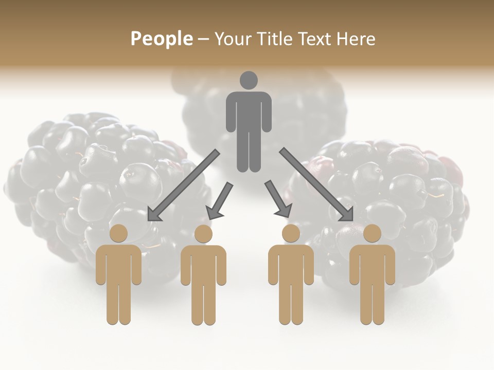 Fruit Berry White PowerPoint Template