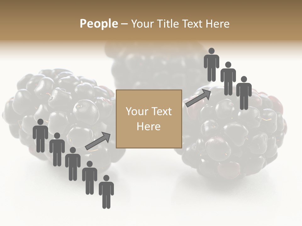 Fruit Berry White PowerPoint Template