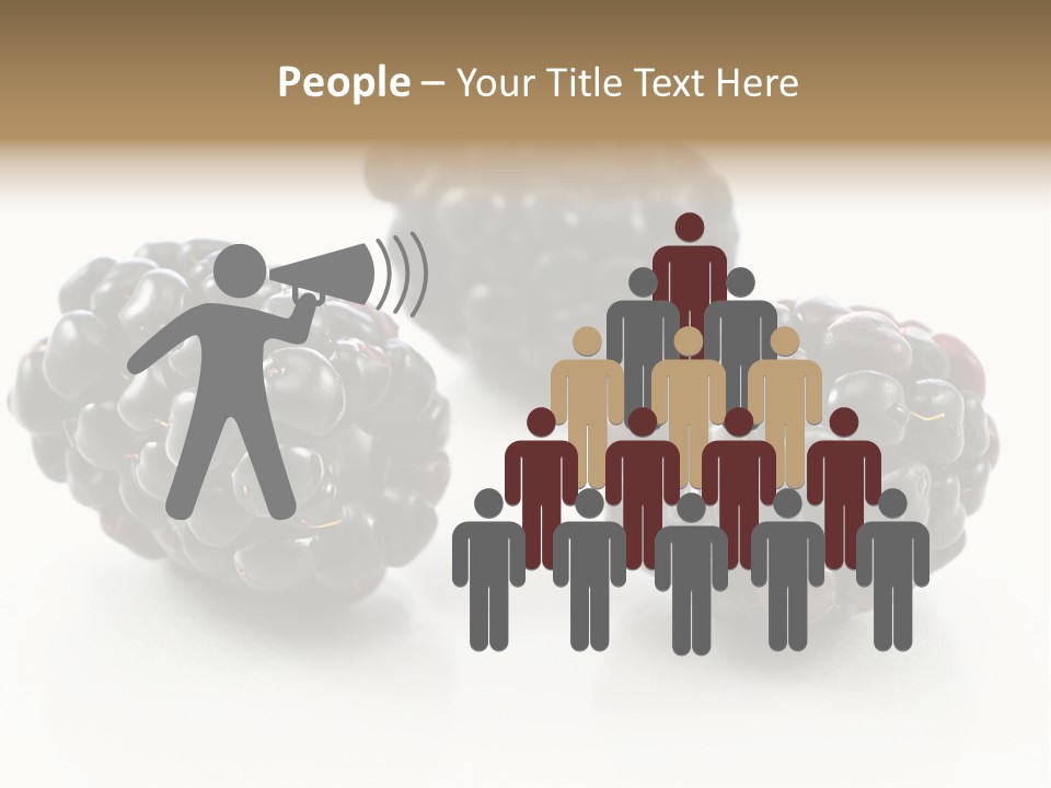 Fruit Berry White PowerPoint Template