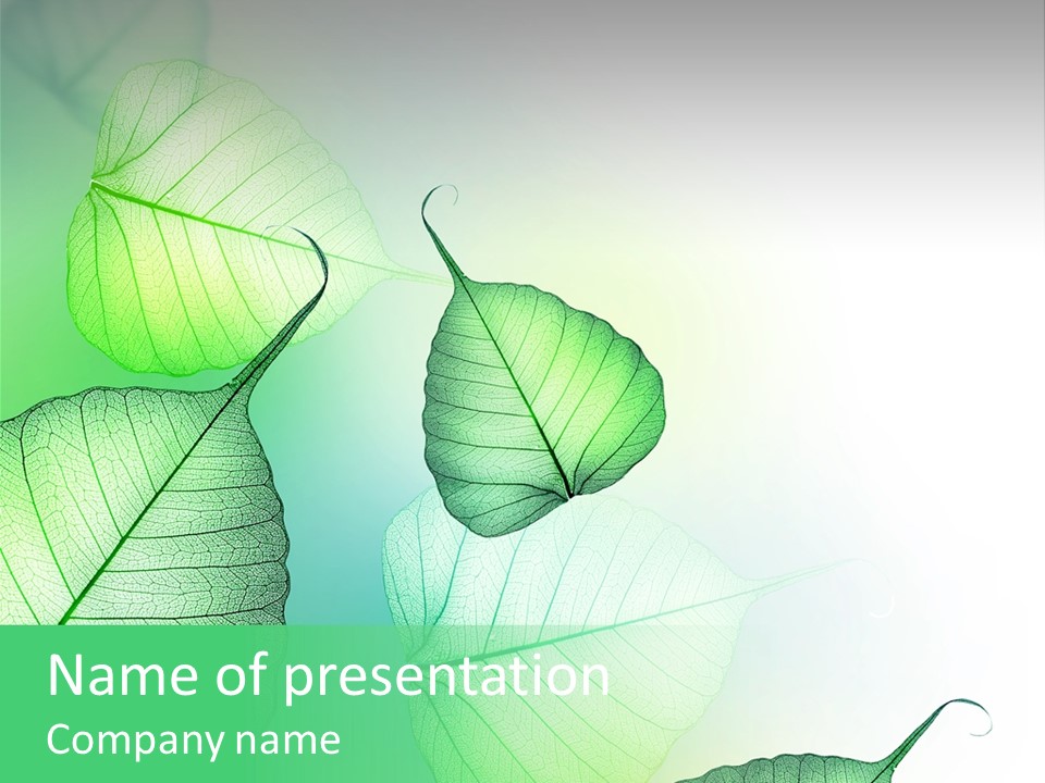 Green Border Design PowerPoint Template