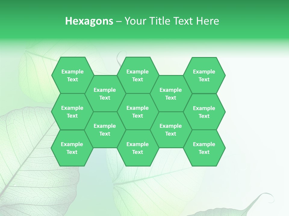 Green Border Design PowerPoint Template