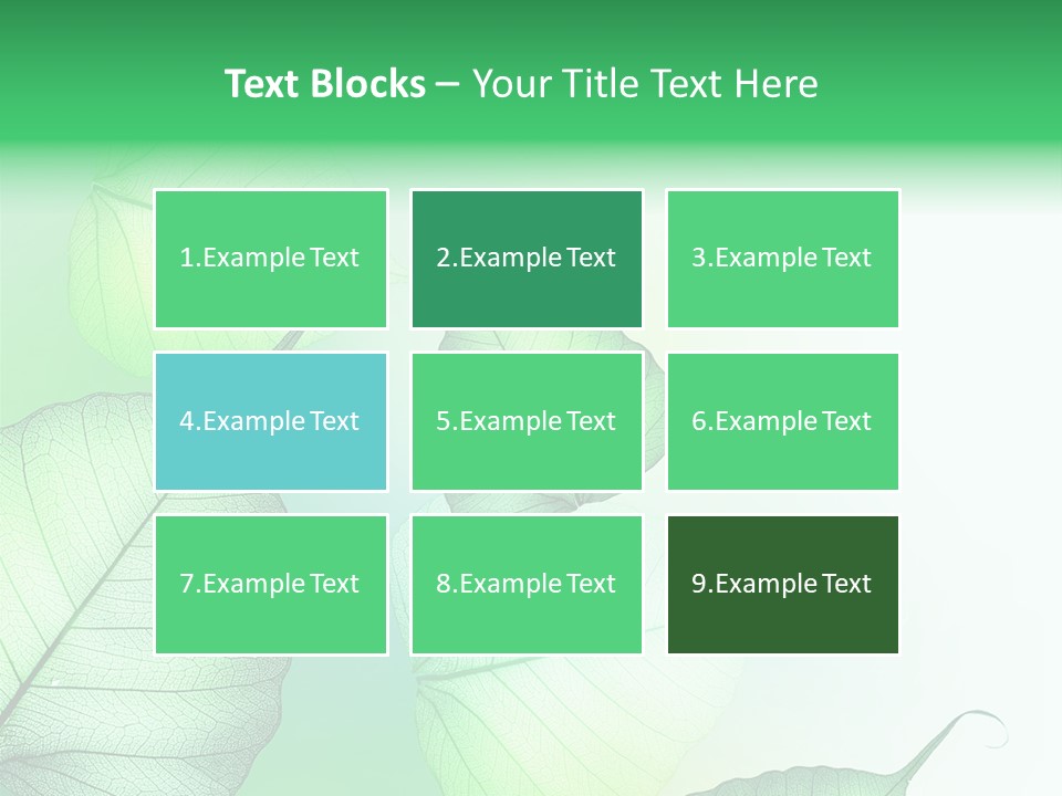 Green Border Design PowerPoint Template