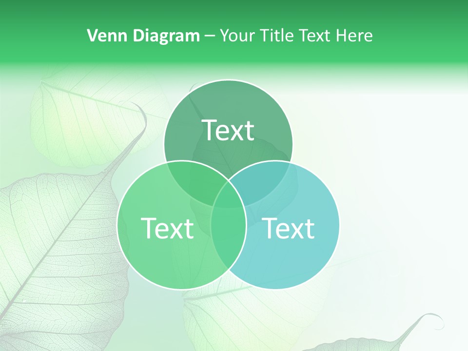 Green Border Design PowerPoint Template