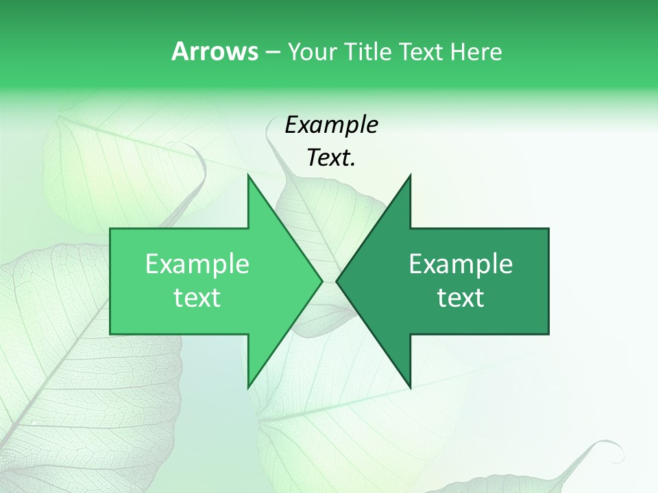 Green Border Design PowerPoint Template