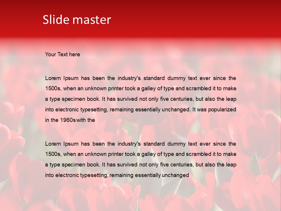 Red Tulips PowerPoint Template