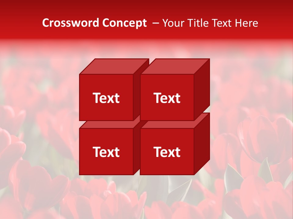 Red Tulips PowerPoint Template