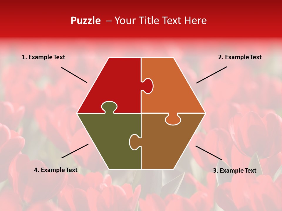 Red Tulips PowerPoint Template