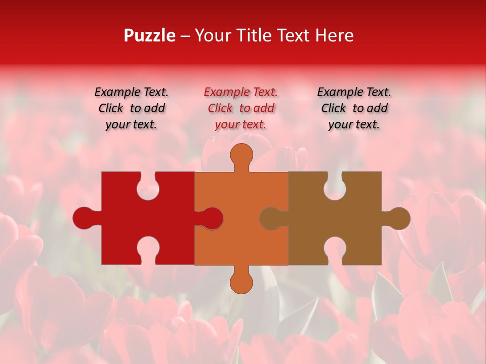 Red Tulips PowerPoint Template