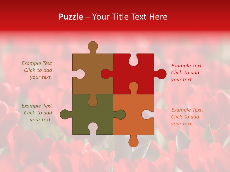 Red Tulips PowerPoint Template