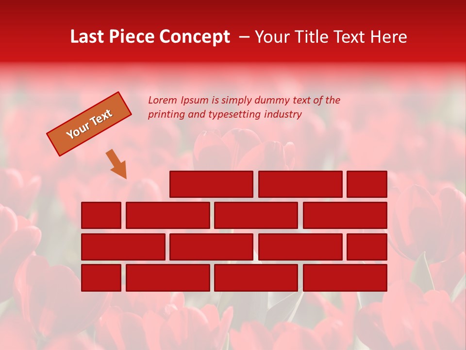 Red Tulips PowerPoint Template
