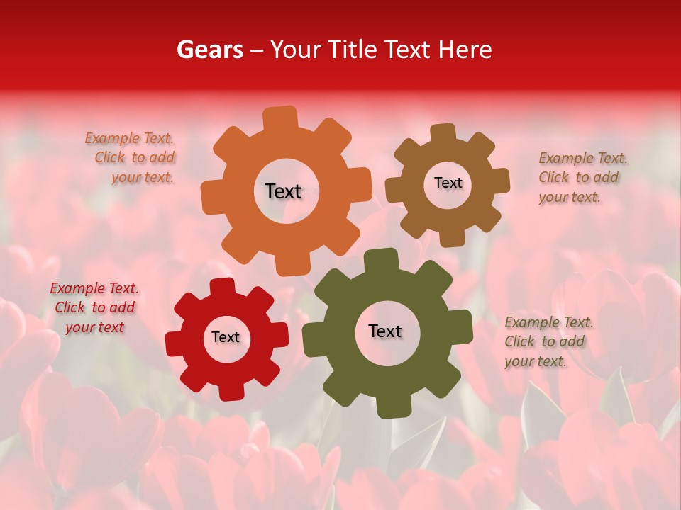 Red Tulips PowerPoint Template