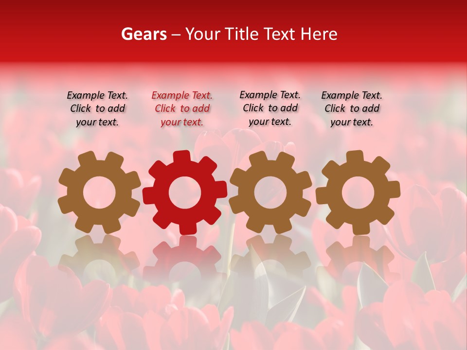 Red Tulips PowerPoint Template