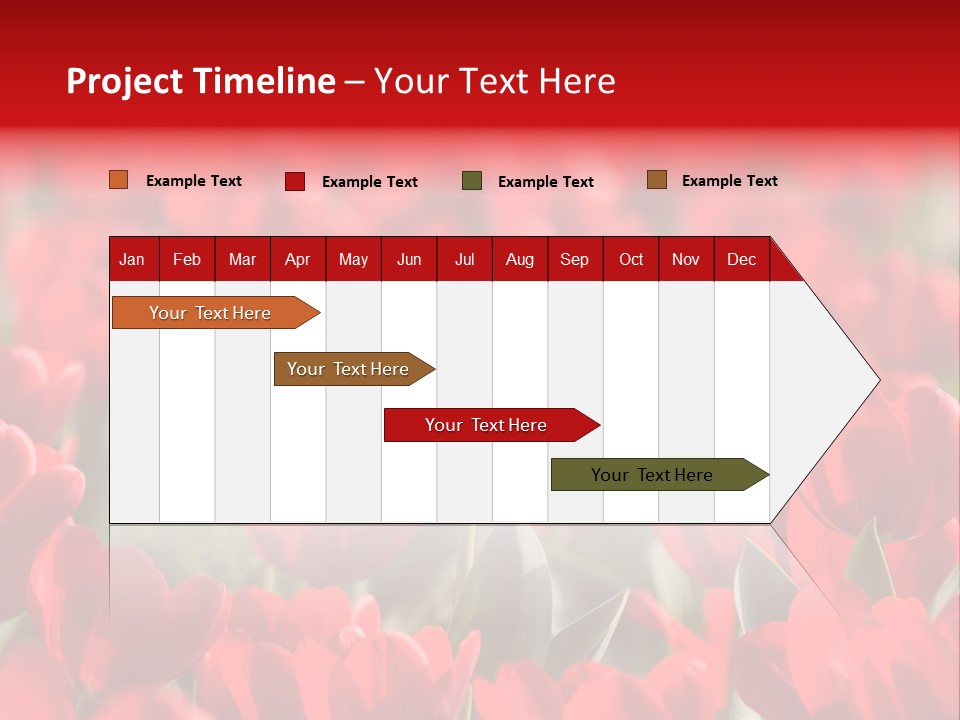 Red Tulips PowerPoint Template