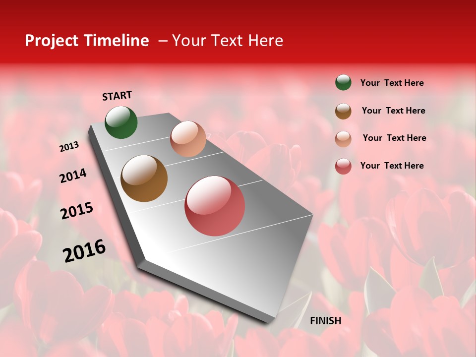 Red Tulips PowerPoint Template