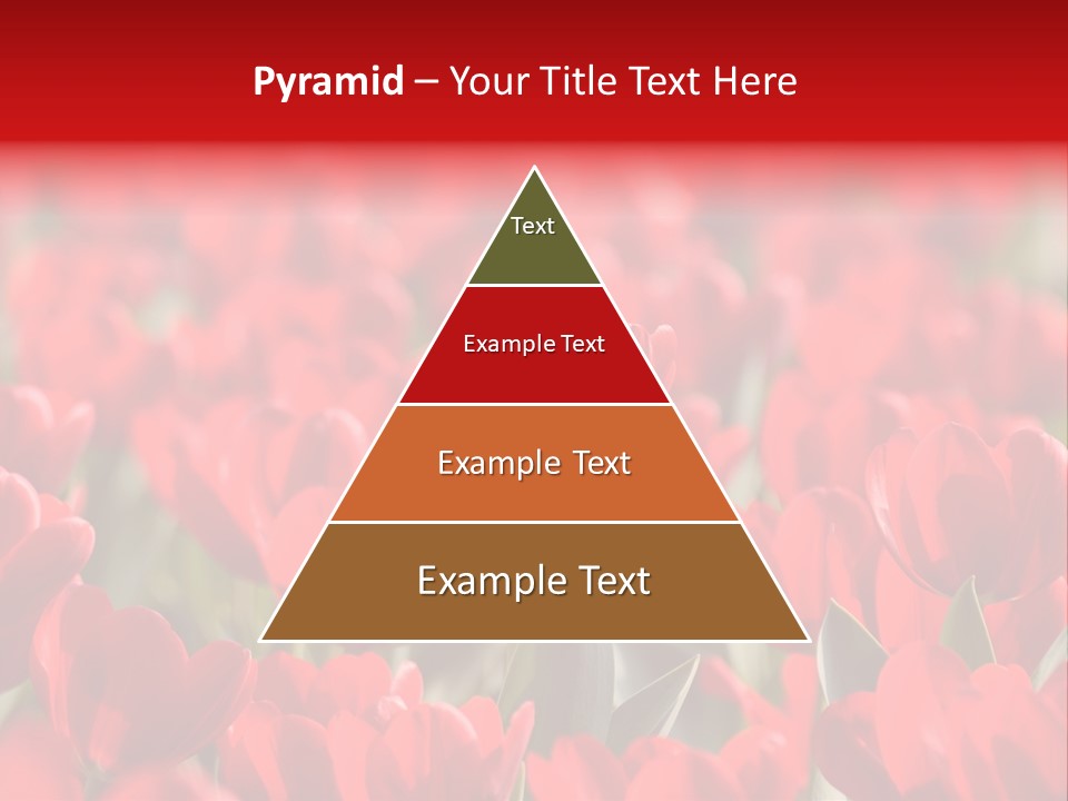 Red Tulips PowerPoint Template