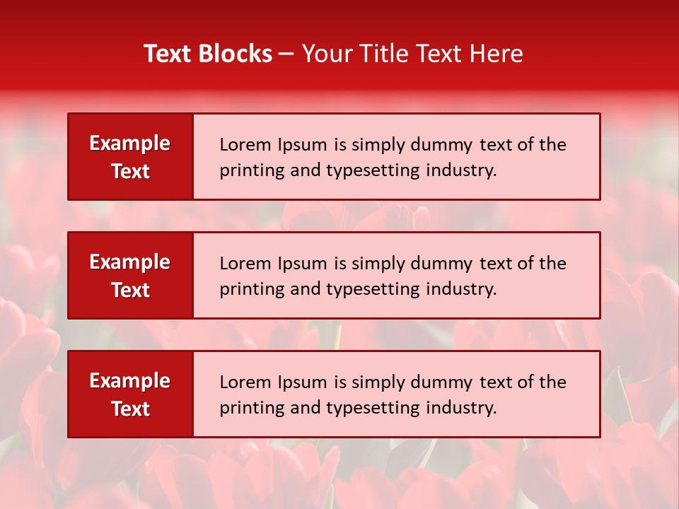 Red Tulips PowerPoint Template