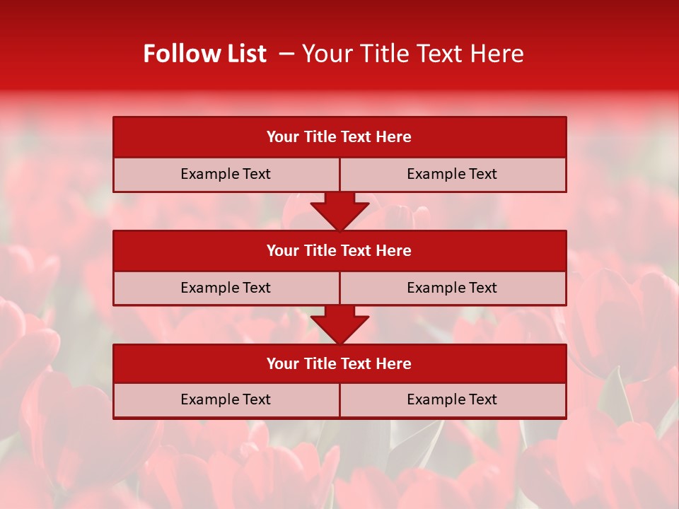 Red Tulips PowerPoint Template