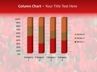 Red Tulips PowerPoint Template