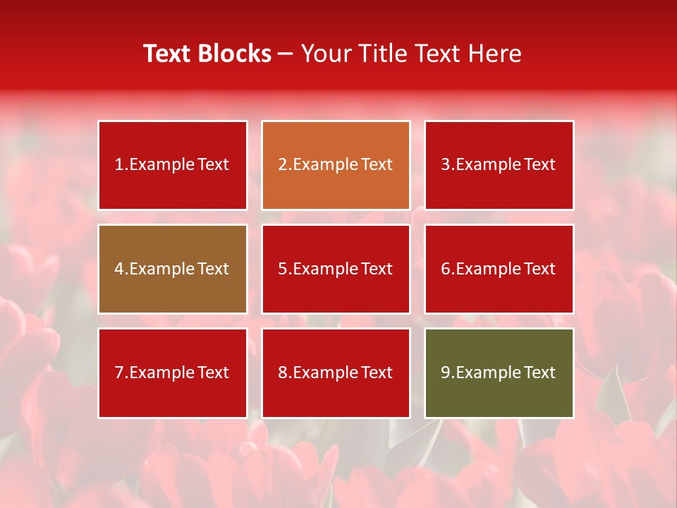 Red Tulips PowerPoint Template