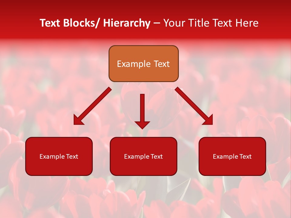 Red Tulips PowerPoint Template