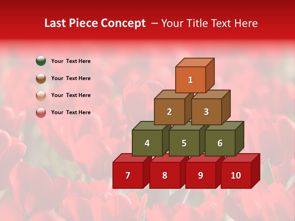 Red Tulips PowerPoint Template