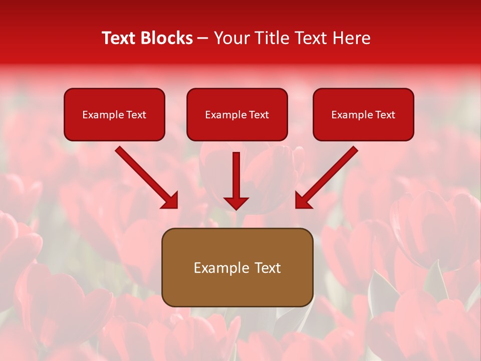 Red Tulips PowerPoint Template