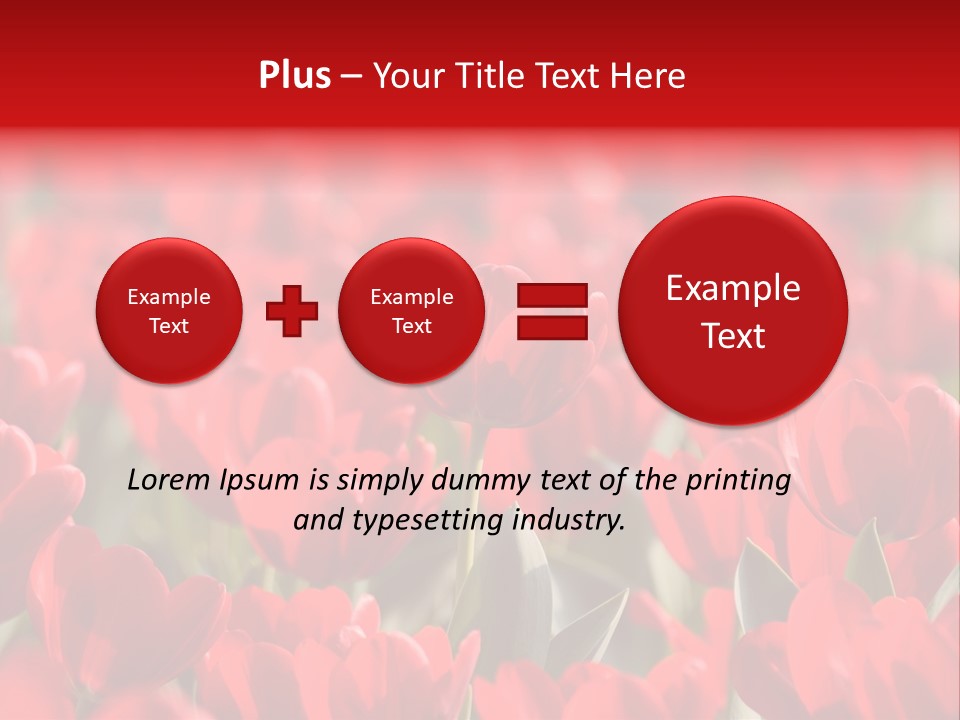 Red Tulips PowerPoint Template