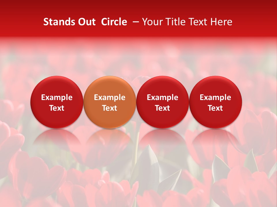 Red Tulips PowerPoint Template