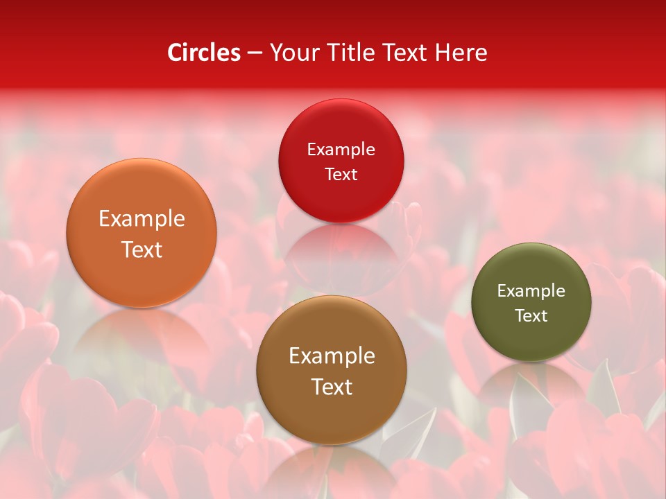 Red Tulips PowerPoint Template