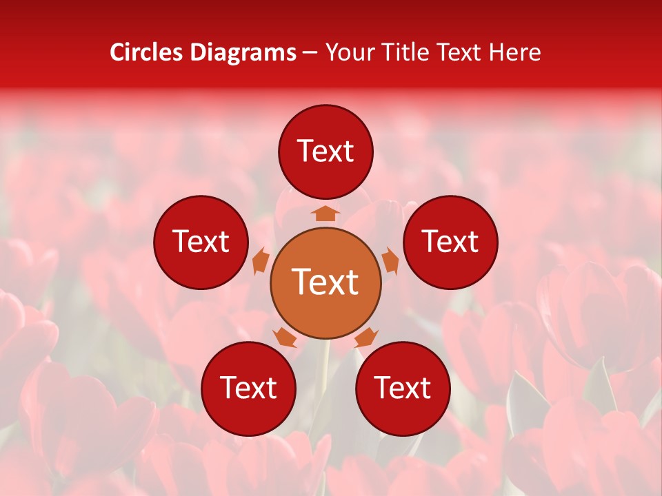 Red Tulips PowerPoint Template