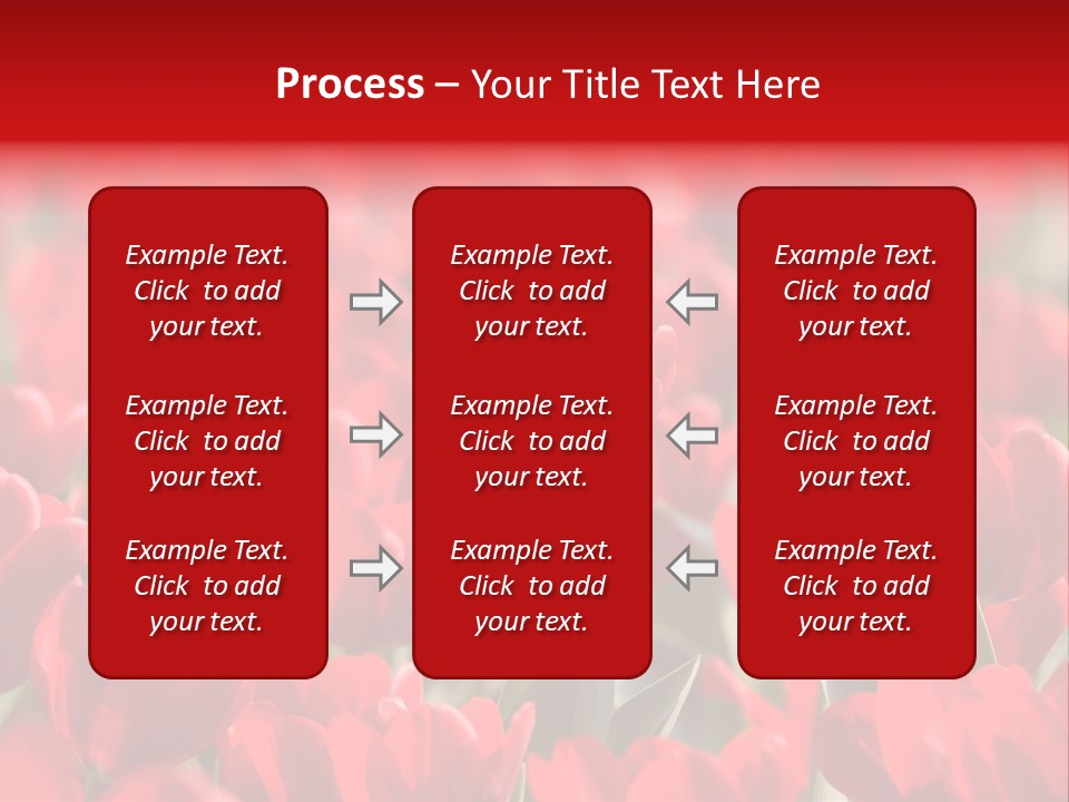 Red Tulips PowerPoint Template