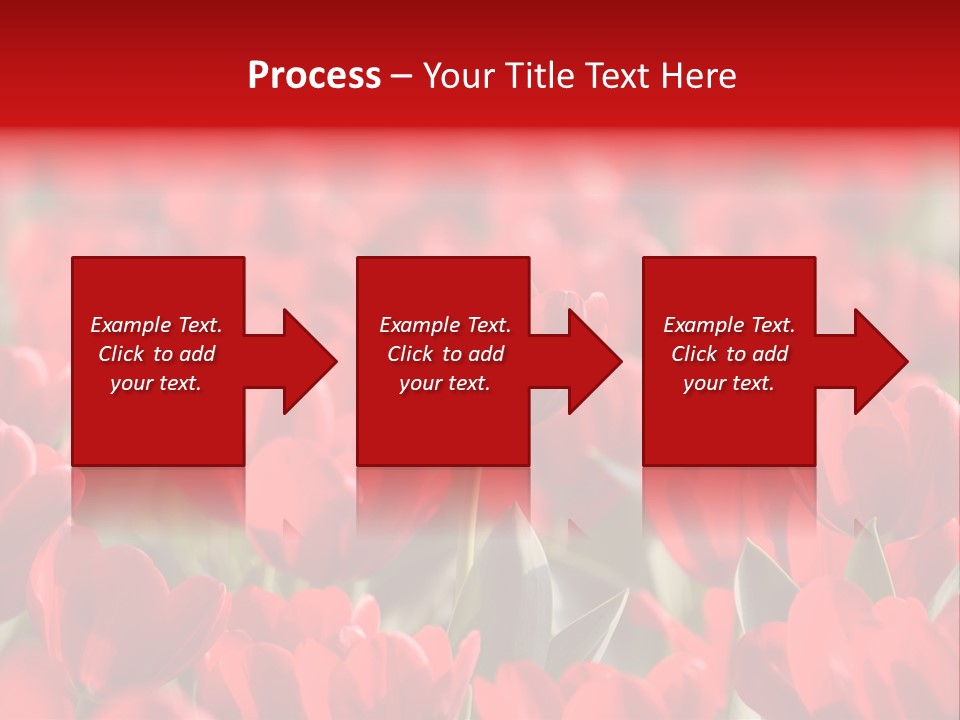 Red Tulips PowerPoint Template