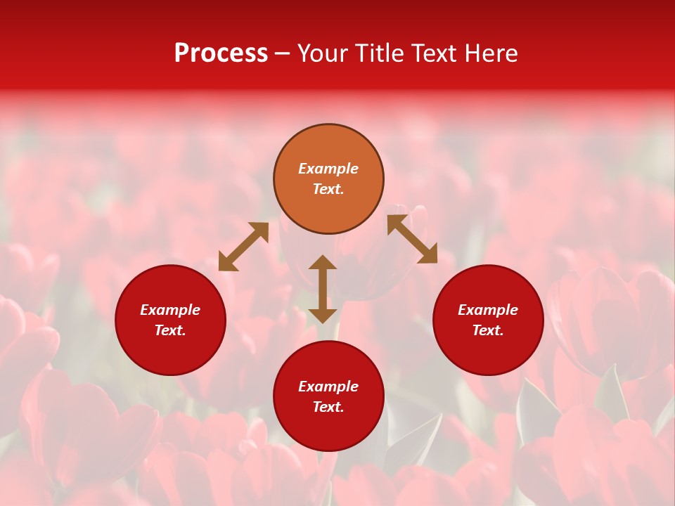 Red Tulips PowerPoint Template