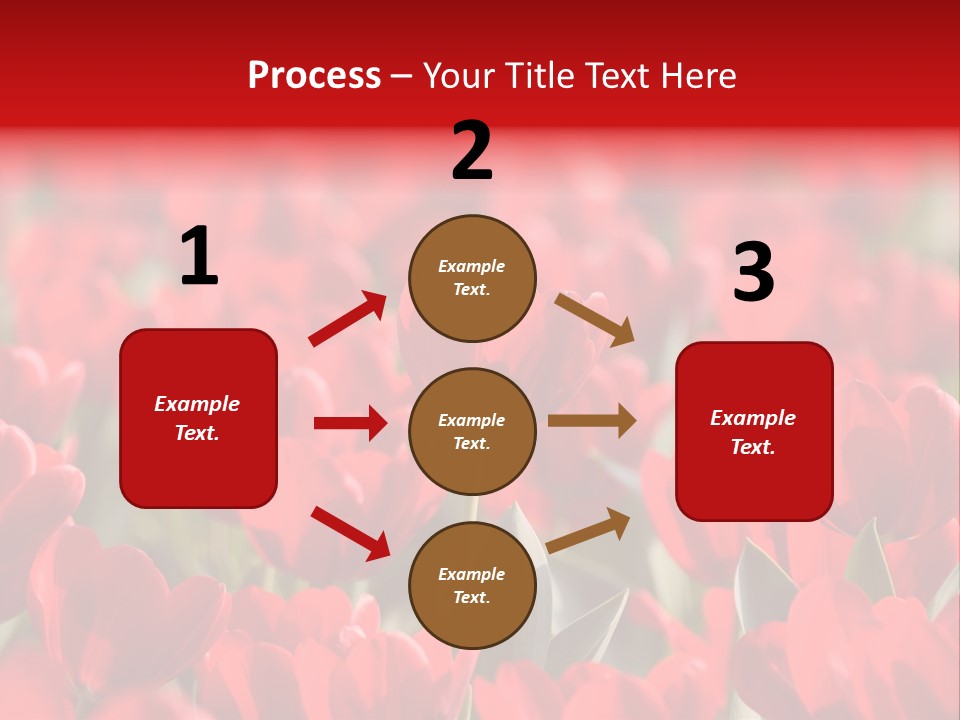 Red Tulips PowerPoint Template
