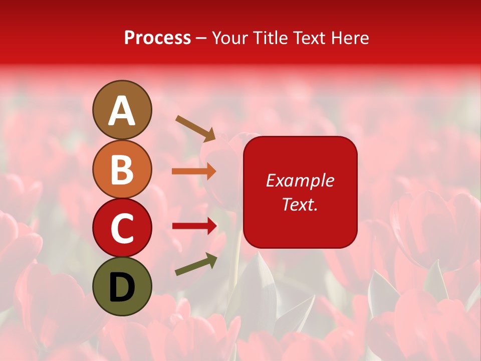 Red Tulips PowerPoint Template