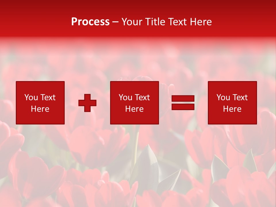 Red Tulips PowerPoint Template