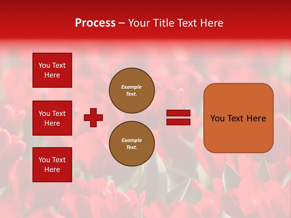 Red Tulips PowerPoint Template
