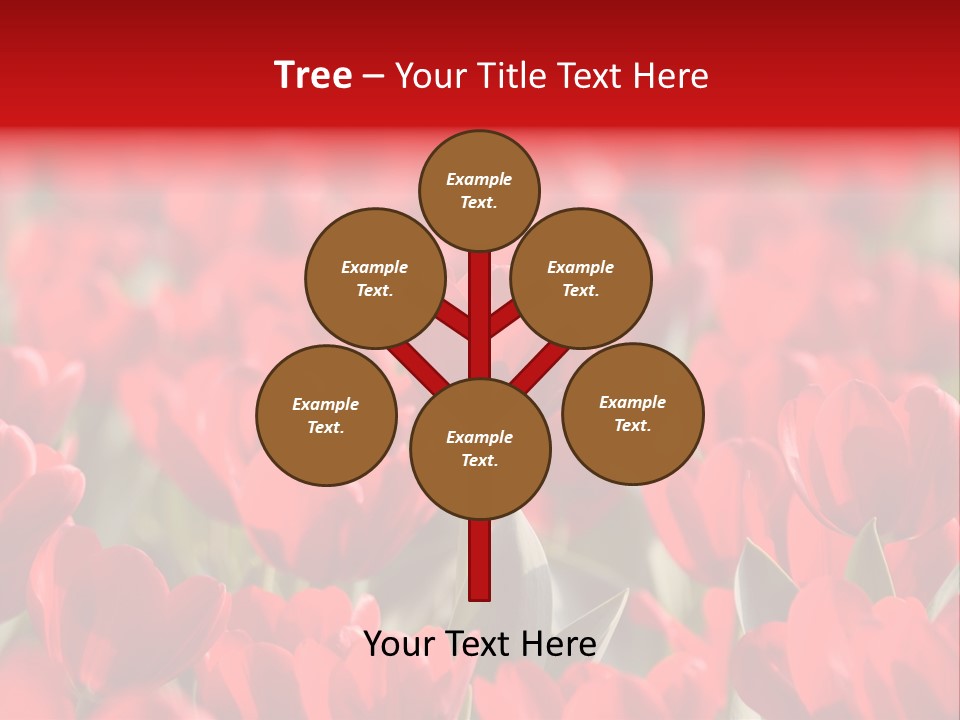 Red Tulips PowerPoint Template