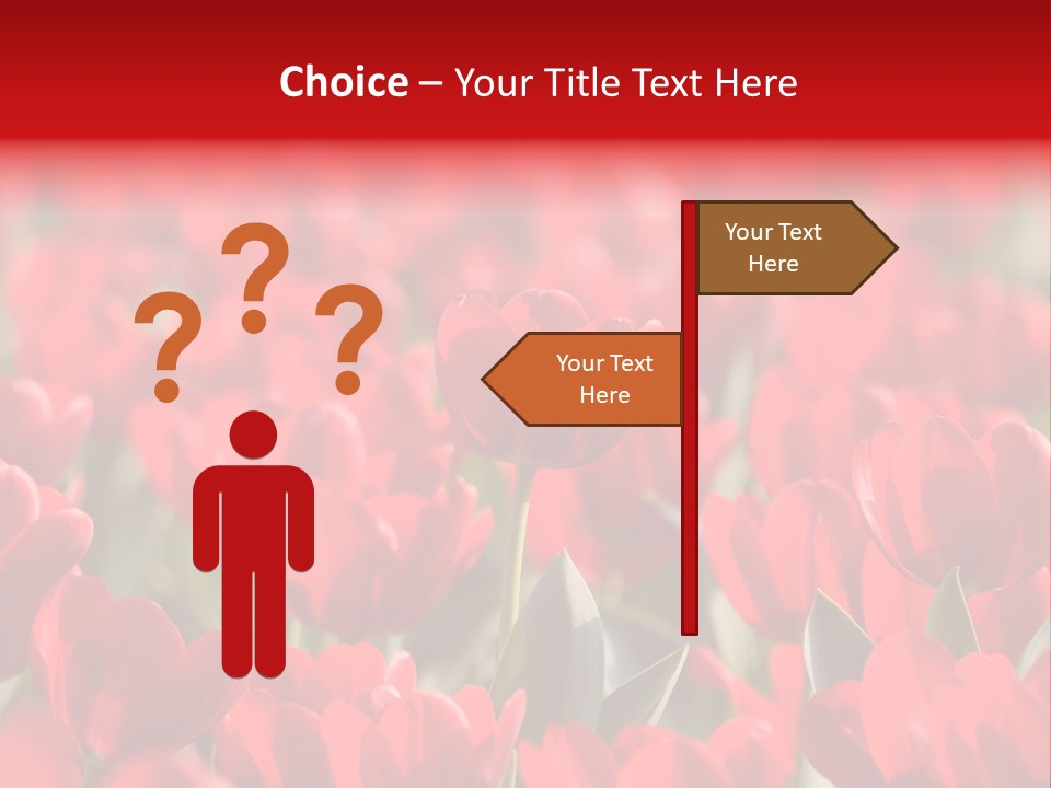 Red Tulips PowerPoint Template